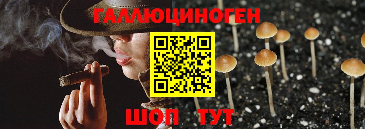 Псилоцибиновые грибы MAGIC MUSHROOMS Горно-Алтайск