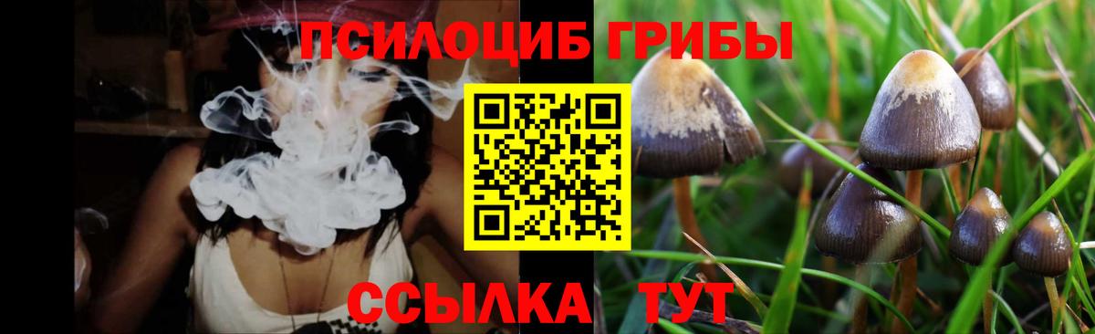 Галлюциногенные грибы прущие грибы  Вход с VPN  Галлюциногенные грибы Magic Shrooms  где можно купить   Горно-Алтайск 